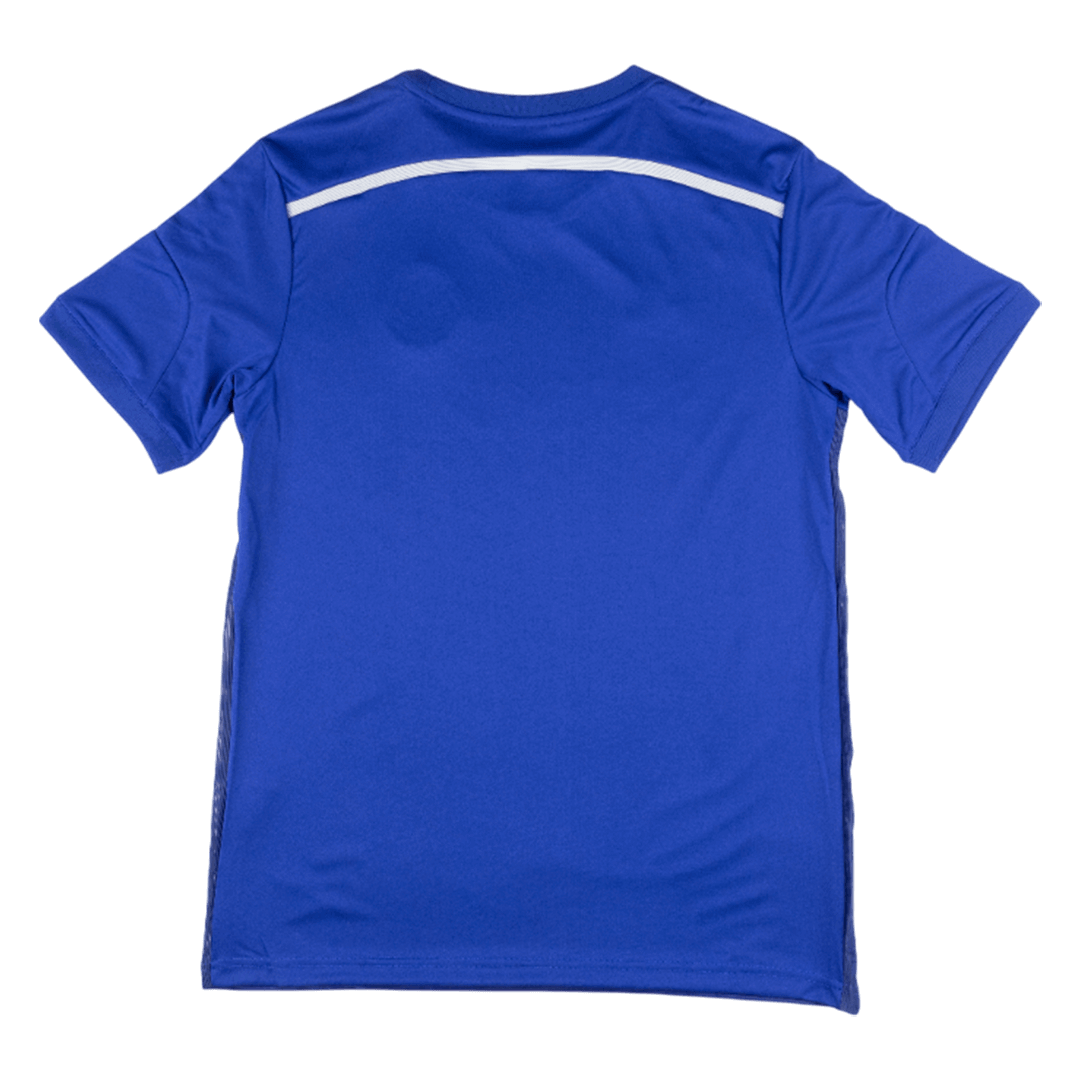 Retro Chelsea Thuisshirt 2014/15 Blauw